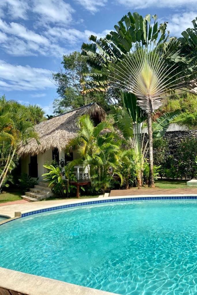 Chalet Tropical Au Coeur De Las Terrenas Exterior photo