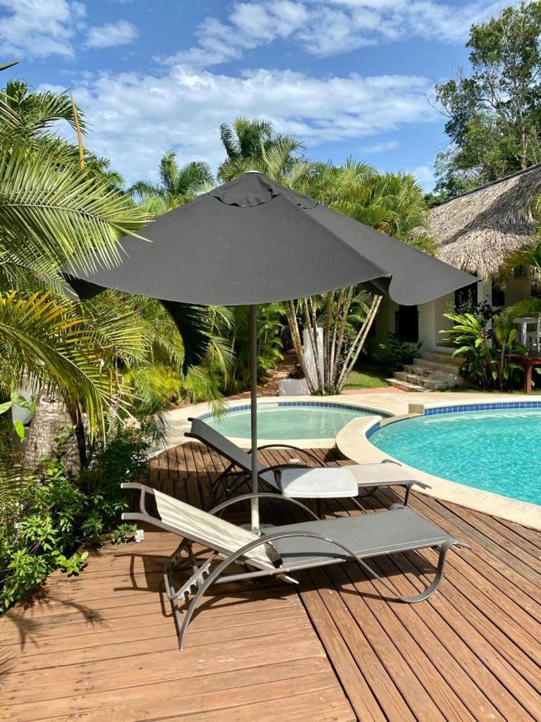 Chalet Tropical Au Coeur De Las Terrenas Exterior photo